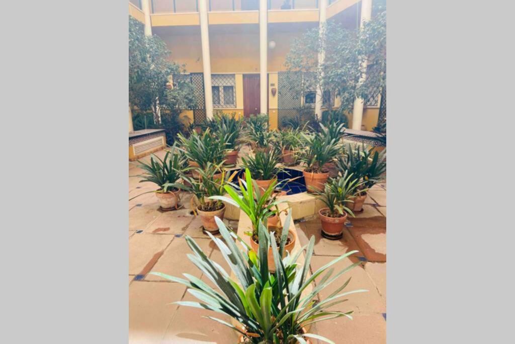 Cozy&quiet In Sanvicente St Andalusian Patio * Séville